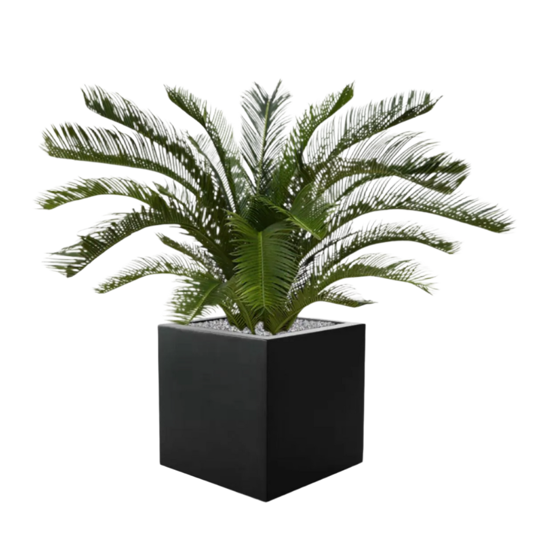 High-quality 2 Ft faux Sago Palm for elegant tropical-inspired decor
