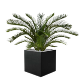 High-quality 2 Ft faux Sago Palm for elegant tropical-inspired decor
