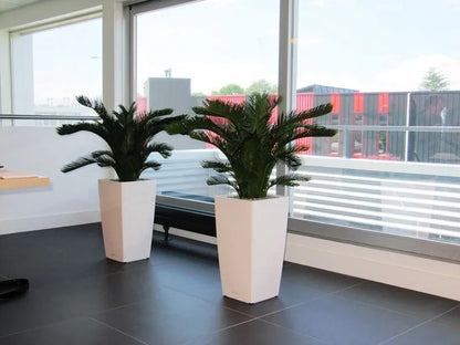 Natural-looking 2 Ft artificial Sago Palm – a perfect indoor plant alternative
