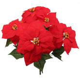Red poinsettia flowers with green leaves on a white background