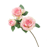 Three pink roses with green leaves on a white background