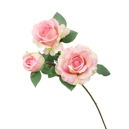 Three pink roses with green leaves on a white background