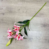 Pink lilies with green leaves on a gray wooden surface