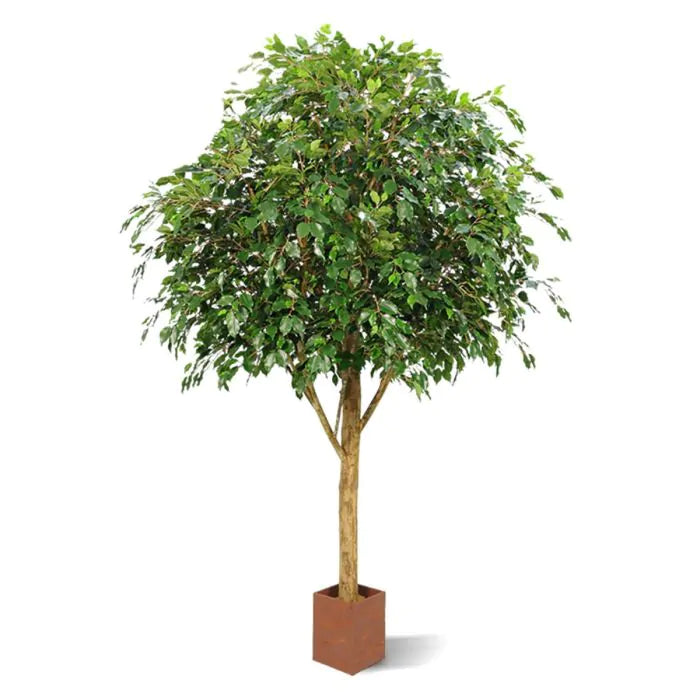 7 Ft Fire retardant Ficus Exotica Giant 290 cm artificial tree – perfect for modern home decor