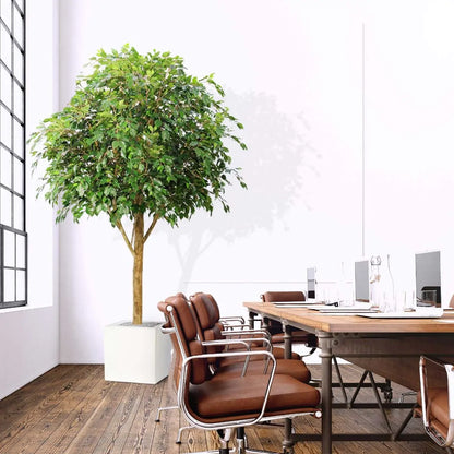 7 Ft Fire retardant Ficus Exotica Giant 290 cm artificial tree – decorative plant with zero maintenance