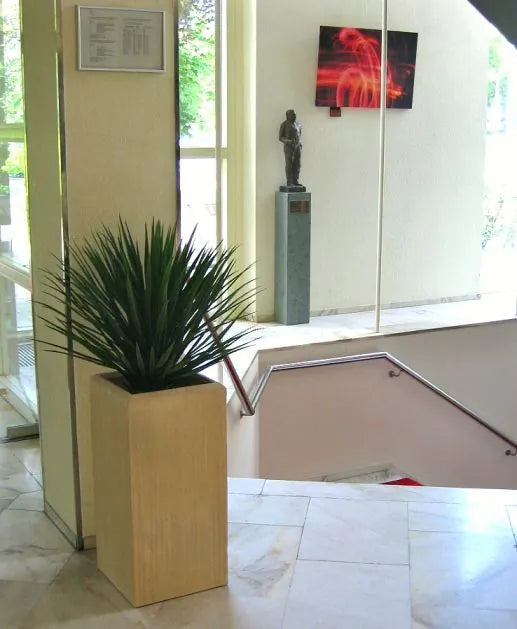 Vibrant 2.5 Ft faux Yucca Rostrata – a low-maintenance desert plant alternative
