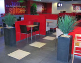 Tropical-inspired 2.5 Ft faux Yucca Rostrata – ideal for modern interiors
