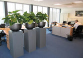 Eye-catching 2 Ft faux Alocasia plant for effortless greenery indoors
