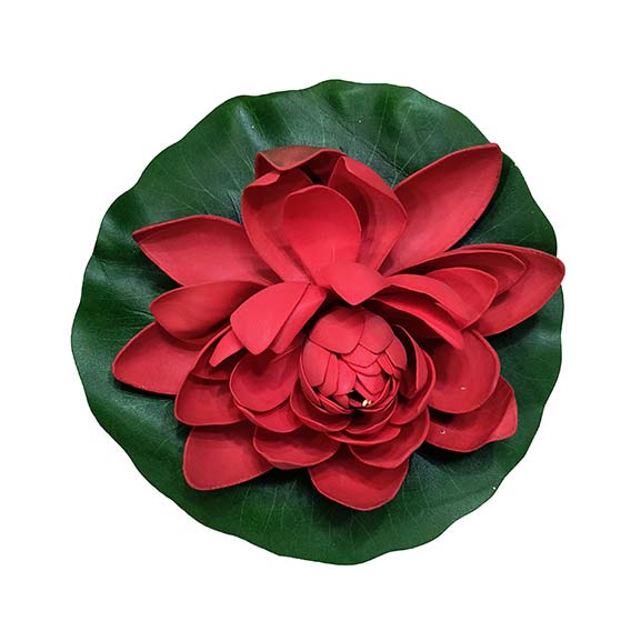 Red flower on a green leaf with a white background