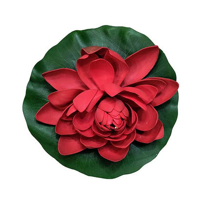 Red flower on a green leaf with a white background