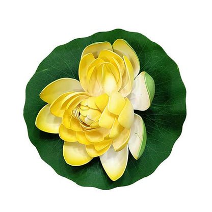 Yellow flower on a green leaf with a white background