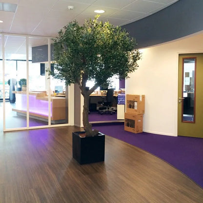 6 Ft Giant Artificial Olive tree 275 cm Y shape – enhances any living space naturally