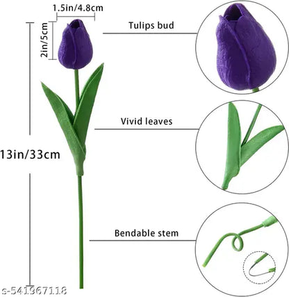 Purple tulip flower with measurements and details on a white background