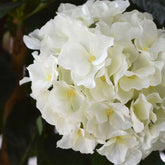 High-quality 3 Ft faux Hydrangea tree with delicate, natural-looking flowers
