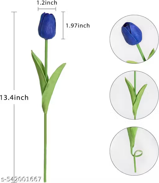 Blue tulip with measurements on a white background