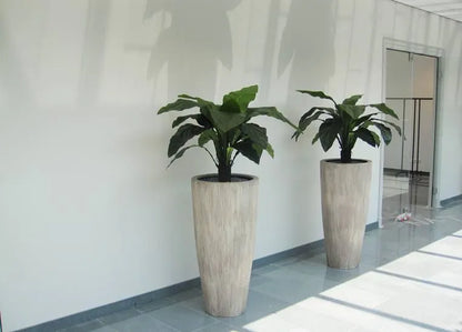 Eye-catching 3 Ft artificial Anthurium Jungle King – a tropical statement piece
