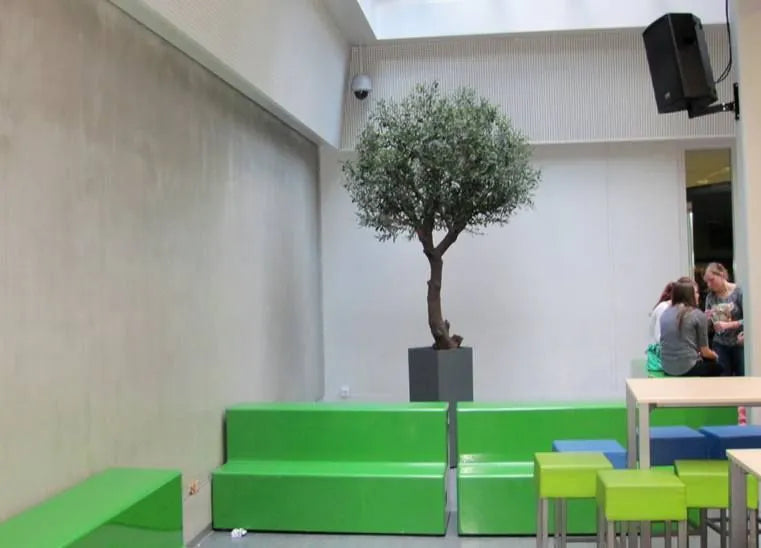 6 Ft Giant Artificial Olive tree 275 cm Y shape – decorative plant with zero maintenance
