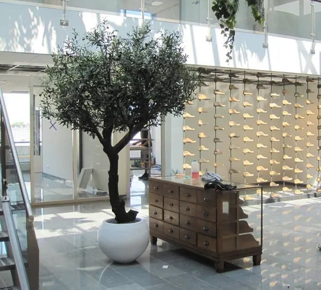 6 Ft Giant Artificial Olive tree 275 cm Y shape – brightens up dull corners effortlessly
