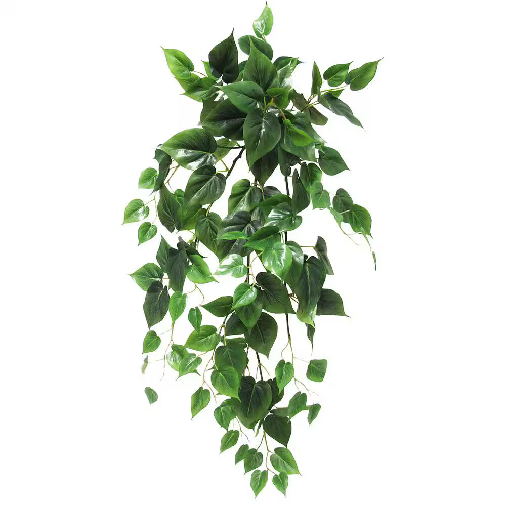 Artificial hanging green plant on a white background