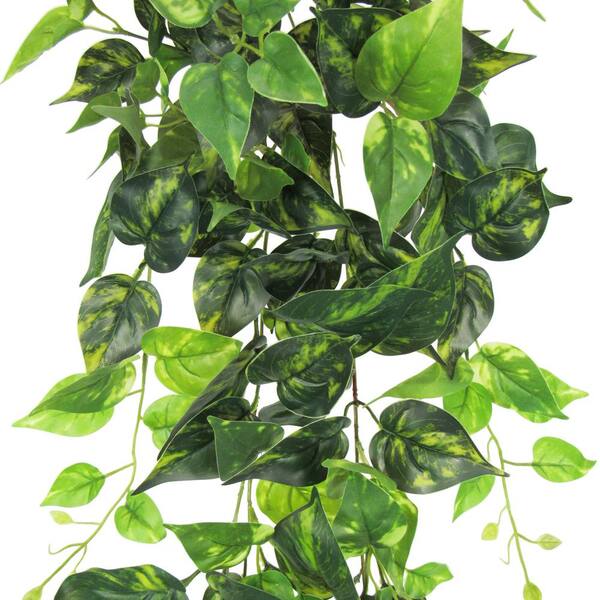 2.5 Ft Faux Pothos Ivy Vine – Artificial Hanging Greenery Foliage for Indoor Wall, Shelf &amp; Event