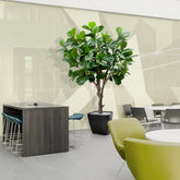 3 Ft Artificial Giant Lyrata tree 260 cm on trunk – tropical look without the upkeep