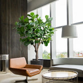3 Ft Artificial Giant Lyrata tree 260 cm on trunk – low-maintenance greenery solution