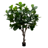3 Ft Artificial Giant Lyrata tree 260 cm on trunk – perfect for modern home decor