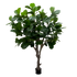 3 Ft Artificial Giant Lyrata tree 260 cm on trunk – perfect for modern home decor