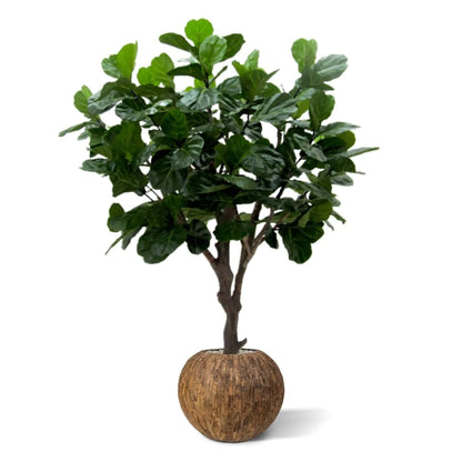 3 Ft Artificial Giant Lyrata tree 260 cm on trunk – faux greenery with vibrant texture