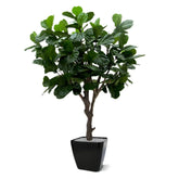 3 Ft Artificial Giant Lyrata tree 260 cm on trunk – crafted for realistic tropical vibes