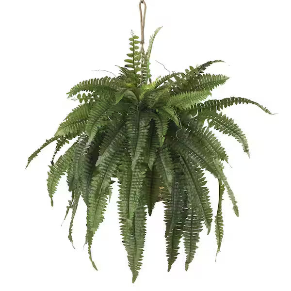 Large Artificial Boston Fern in Hanging Basket – Lush Faux Greenery for Indoor &amp; Outdoor