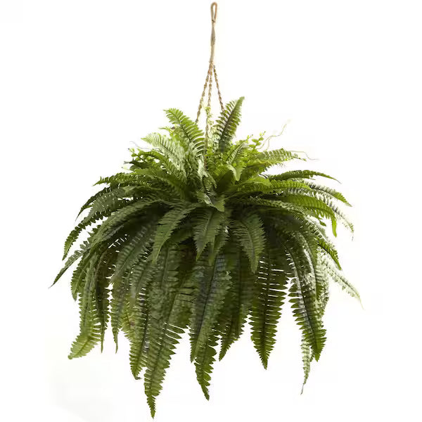 Large Artificial Boston Fern in Hanging Basket – Lush Faux Greenery for Indoor &amp; Outdoor