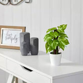 2 Ft Artificial Pothos Plant in White Planter (Real Touch) – styled for modern home interiors