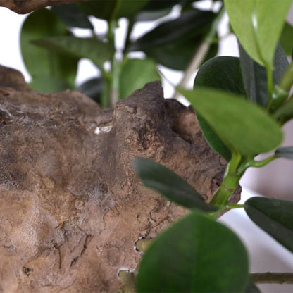Handcrafted 2 Ft artificial bonsai with a realistic twisted trunk
