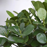 Low-maintenance 2 Ft faux bonsai tree for a zen-inspired ambiance
