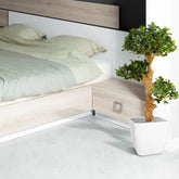 Beautifully designed 3 Ft artificial Bonsai trees – maintenance-free elegance
