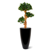 Realistic 3 Ft faux Panda Bonsai trees – perfect for home and office decor
