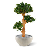 Elegant 3 Ft artificial Bonsai trio with a sculpted, ornamental design
