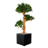Vibrant 3 Ft faux Panda Bonsai Trio for indoor and outdoor decoration
