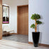 Lush 3 Ft faux Bonsai tree trio for modern interiors and patios
