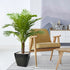 Premium 3 Ft artificial palm tree for modern interior styling
