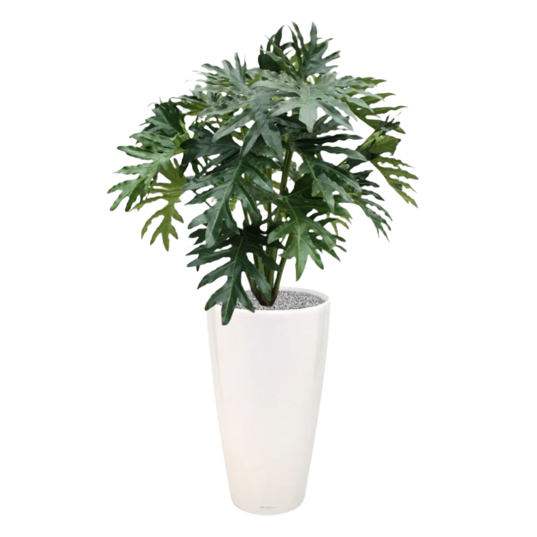 Realistic 3 Ft faux Philodendron Selloum – perfect for indoor greenery
