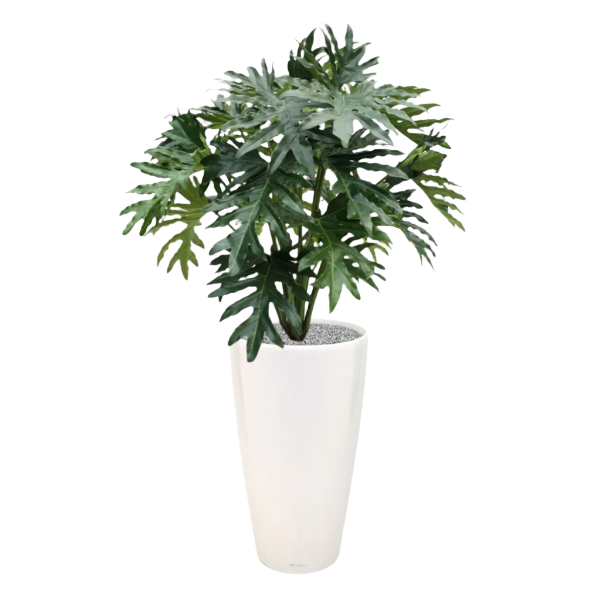 Realistic 3 Ft faux Philodendron Selloum – perfect for indoor greenery
