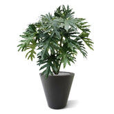 Elegant 3 Ft artificial Philodendron with lush, deep green foliage
