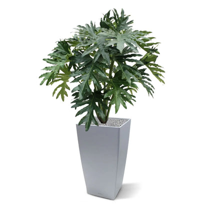 Vibrant 3 Ft faux Selloum plant for home, office, and patio decor

