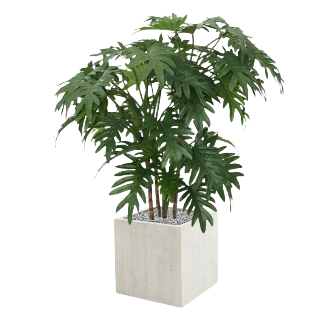 Exotic 3 Ft artificial Philodendron Xanadu – a stylish botanical accent
