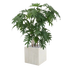 Exotic 3 Ft artificial Philodendron Xanadu – a stylish botanical accent
