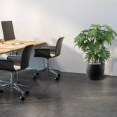 Compact and bushy 3 Ft faux Philodendron Xanadu for effortless greenery
