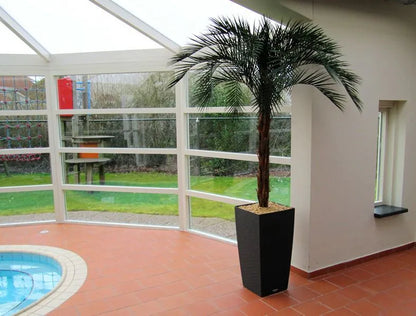 6 Ft Artificial Phoenix Palm OD Deluxe 225cmArtificial Phoenix Palm OD Deluxe 225cm – lifelike tropical plant alternative