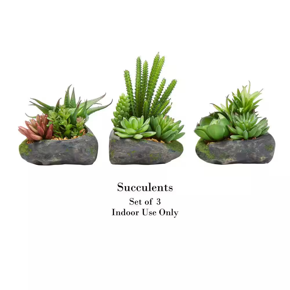 Artificial Succulent Plant Arrangements (Set of 3) – Assorted Faux Greenery in Varying Sizes for Modern Home &amp; Office